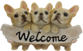 Dog Product