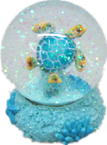 Turtle Product