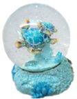 Turtle Product