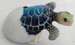 Turtle Product