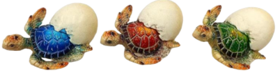 Turtle Product