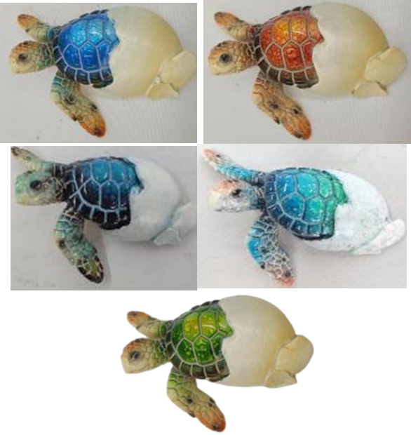 Turtle Product