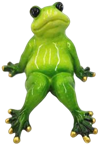 Frog Product