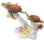 Turtle Product