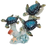 Turtle Product