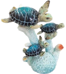 Turtle Product