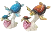 Turtle Product