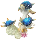 Turtle Product