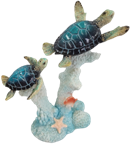 Turtle Product