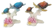 Turtle Product