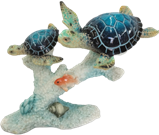 Turtle Product