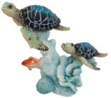 Turtle Product