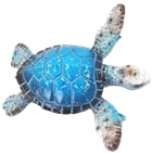 Turtle Product