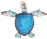 Turtle Product