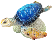Turtle Product