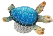 Turtle Product