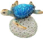 Turtle Product