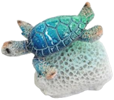 Turtle Product