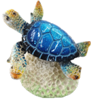 Turtle Product