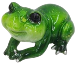 Frog Product