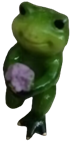 Frog Product