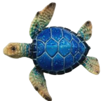 Turtle Product