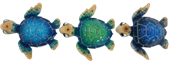 Turtle Product