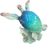 Turtle Product