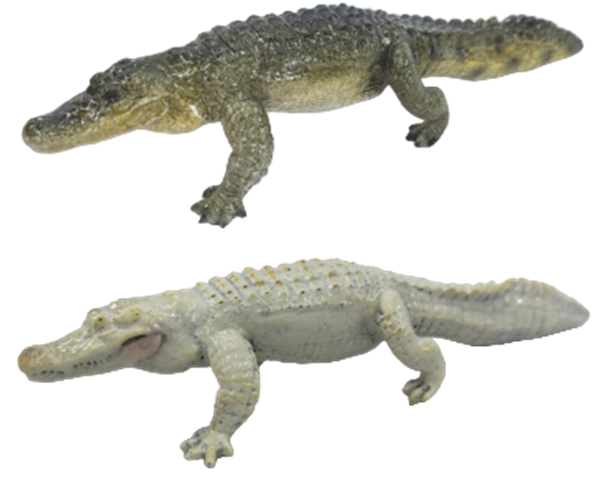 Crocodile Product