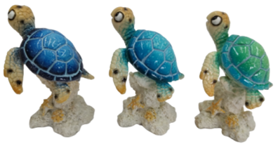 Turtle Product