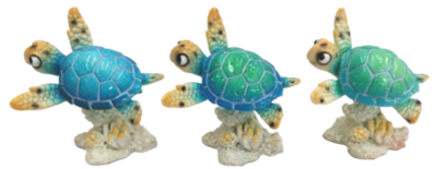 Turtle Product