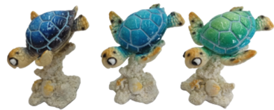 Turtle Product