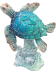 Turtle Product