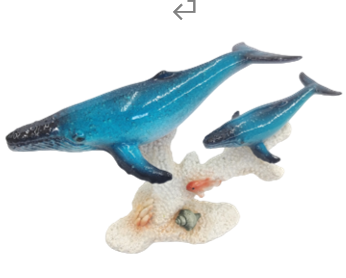Whale Product