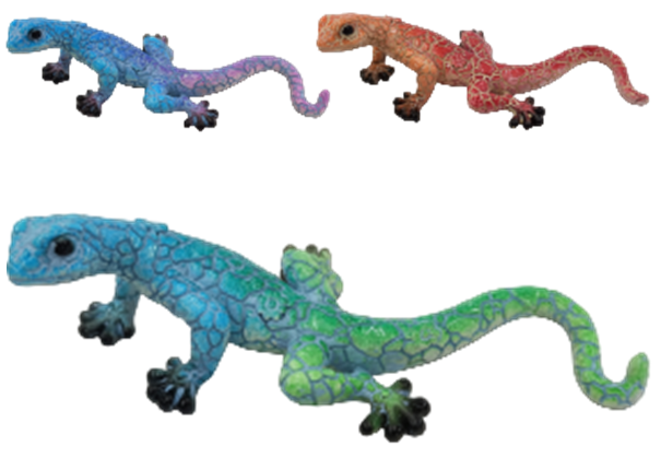 Lizard Product