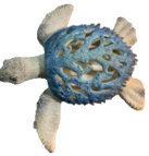 Turtle Product