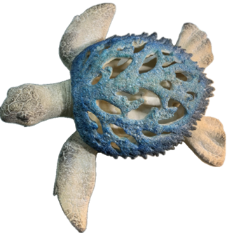 Turtle Product