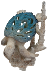 Turtle Product