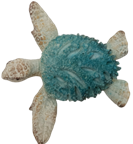 Turtle Product