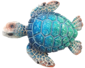 Turtle Product