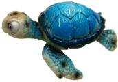 Turtle Product