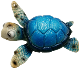 Turtle Product