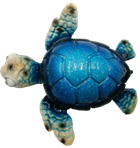 Turtle Product