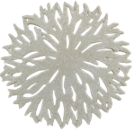 Coral Product