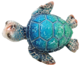 Turtle Product