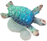 Turtle Product