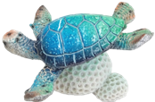 Turtle Product