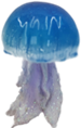 Jellyfish Product