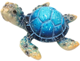 Turtle Product