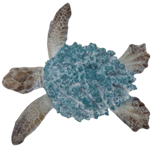 Turtle Product